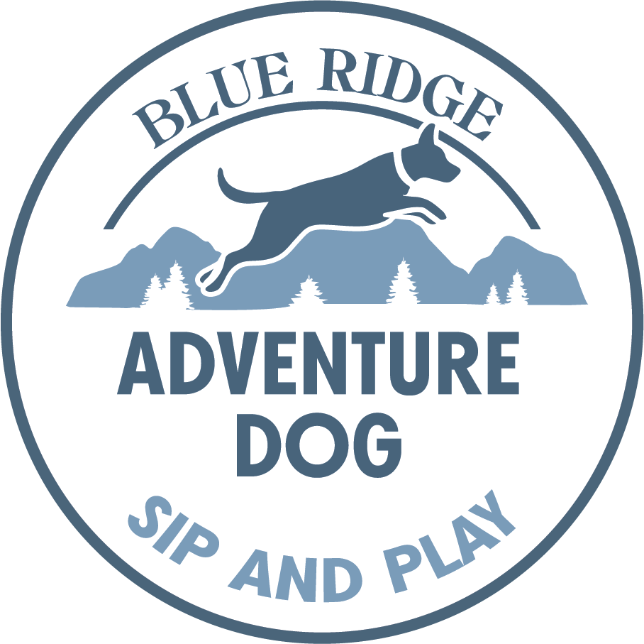 About Us Blue Ridge Adventure Dog