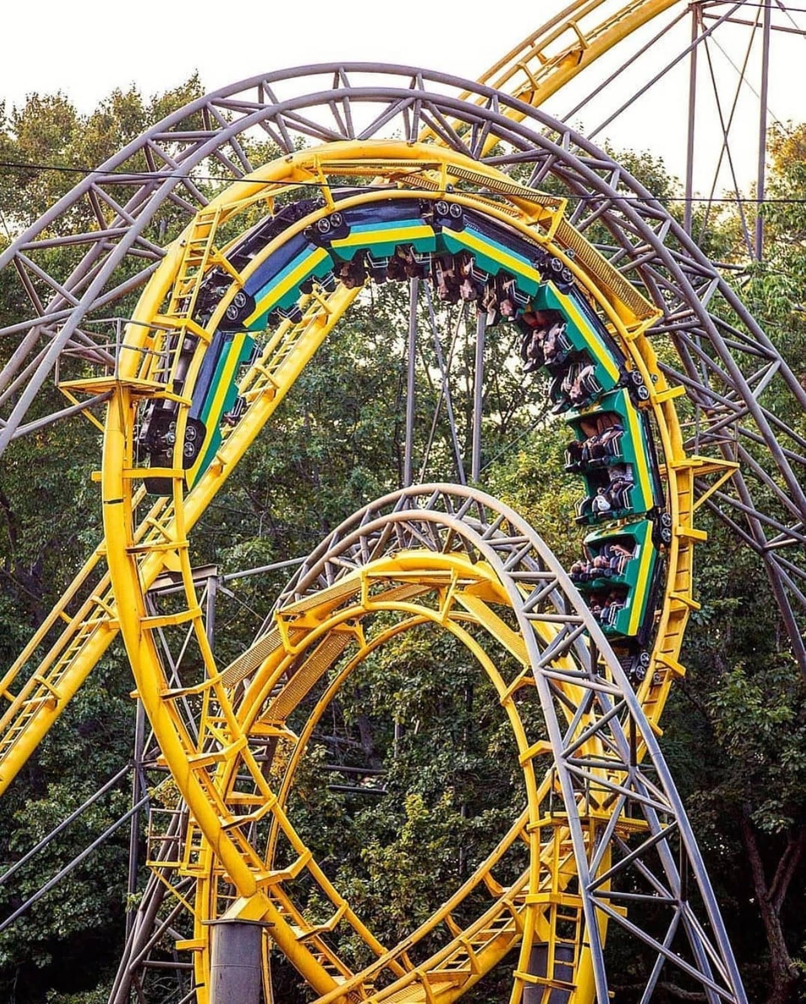 How Much Does Busch Gardens Parking Cost Fasci Garden