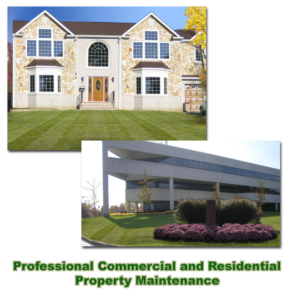 Blue Ridge Lawn Care