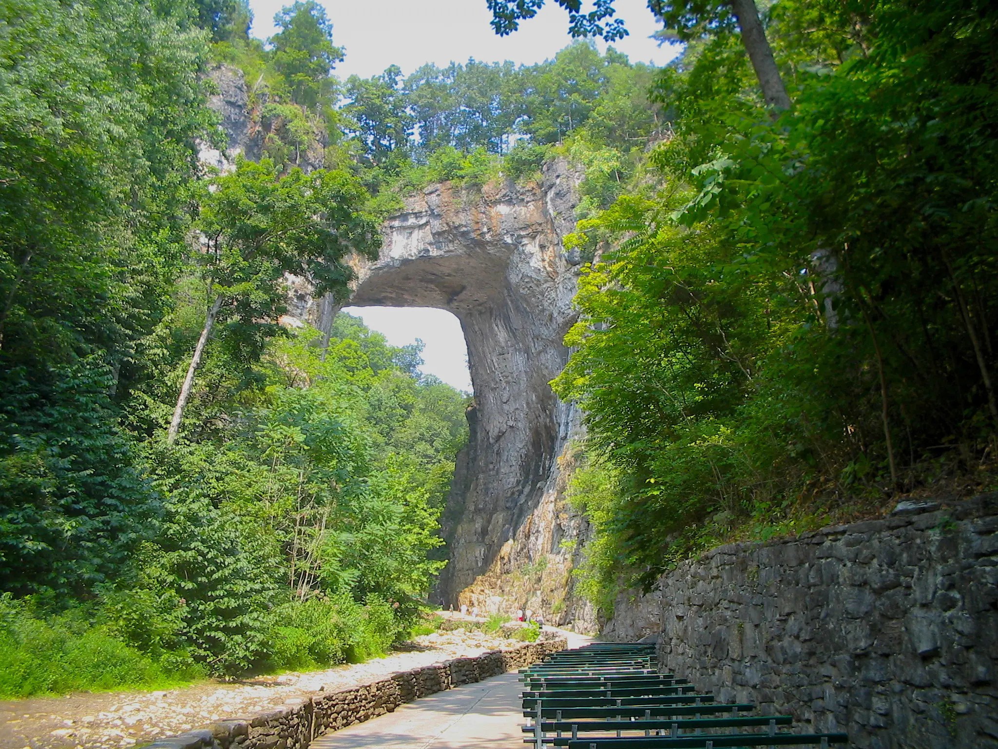 22 Absolutely Beautiful Places for Spring Blooms in the Blue Ridge