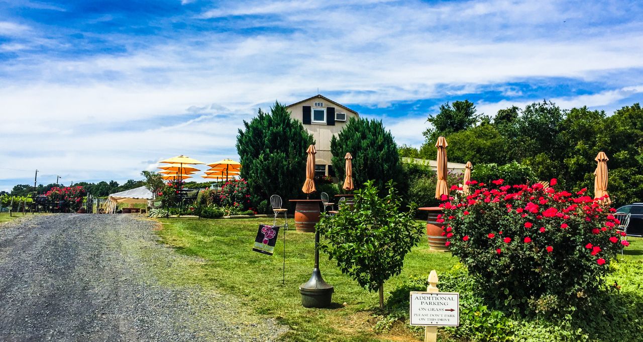 The 10 Best Virginia Wineries to Visit for Wine Tastings & Tours