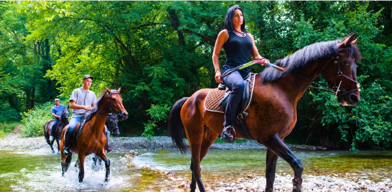 The 10 Best Blue Ridge, Horseback Riding Tours