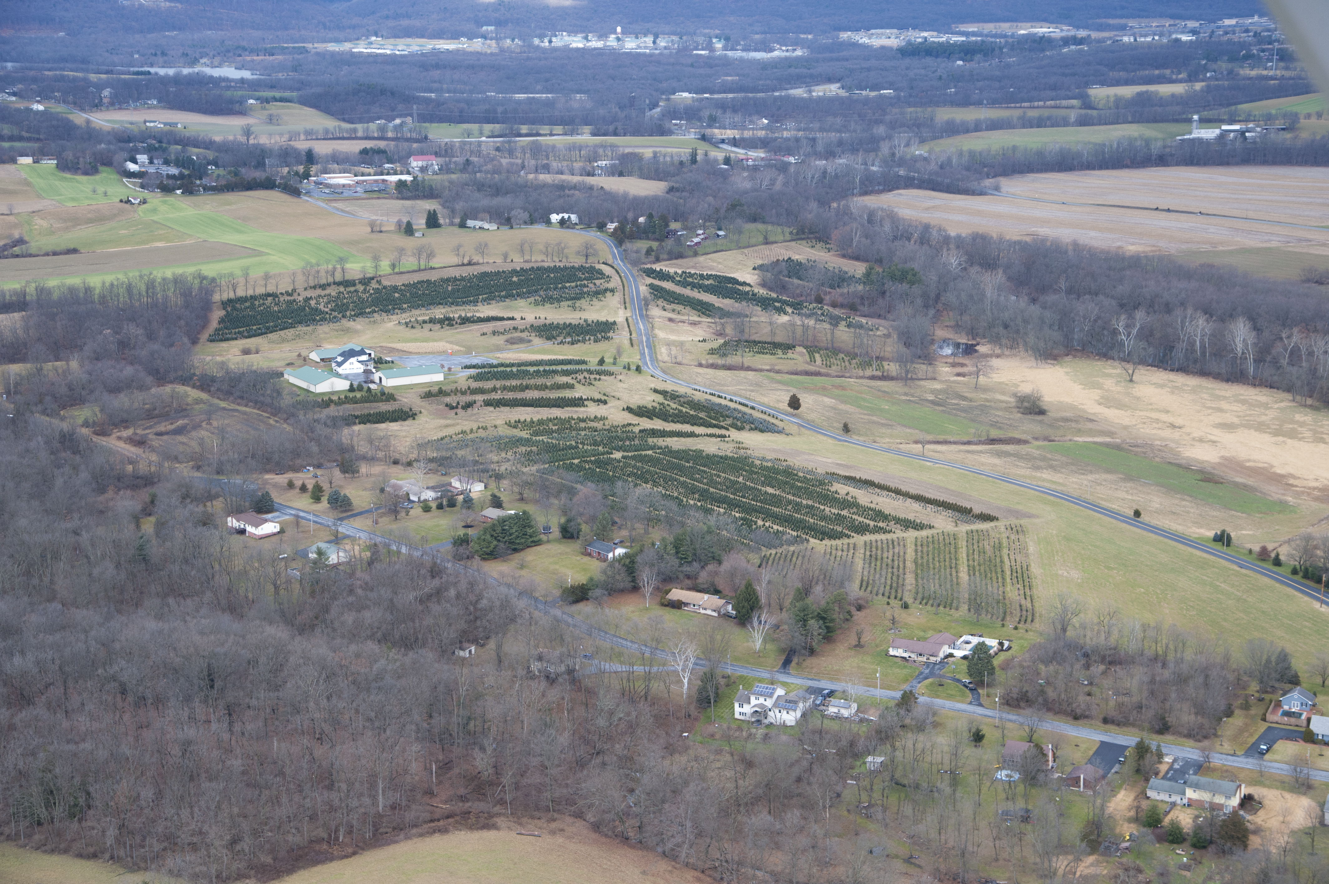 Recent Photos Blue Ridge Christmas Tree Farm