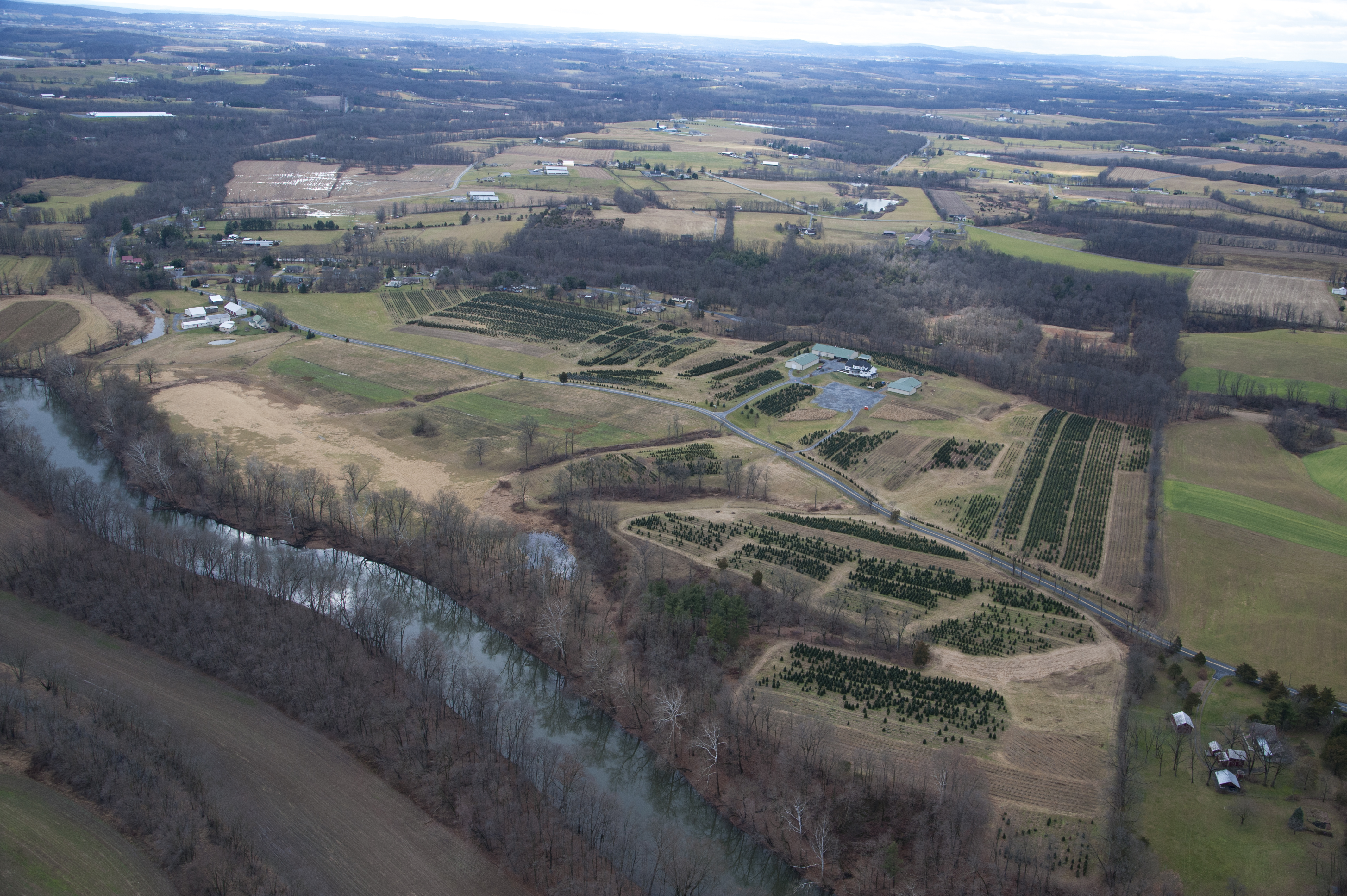 Recent Photos Blue Ridge Christmas Tree Farm