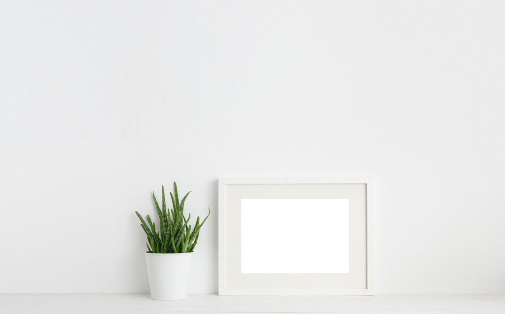 Services Vet in Walnutport Blue Ridge Veterinary Clinic