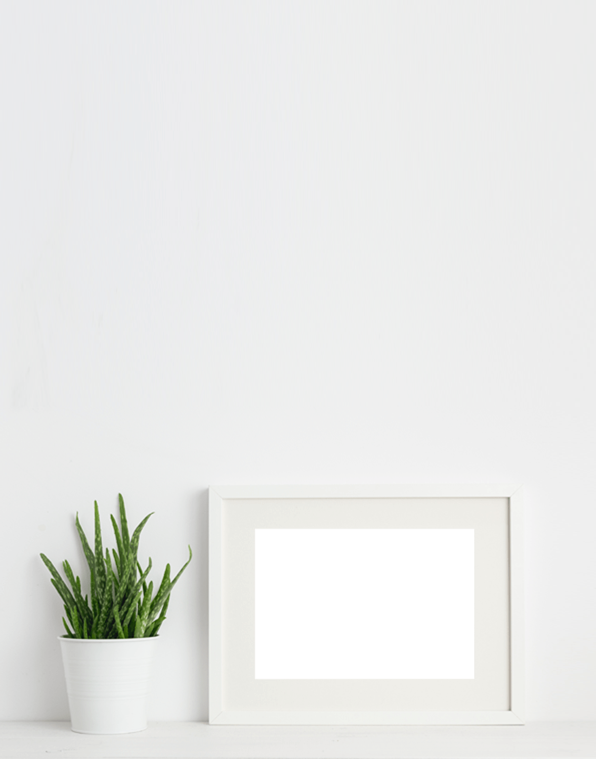 Services Vet in Walnutport Blue Ridge Veterinary Clinic