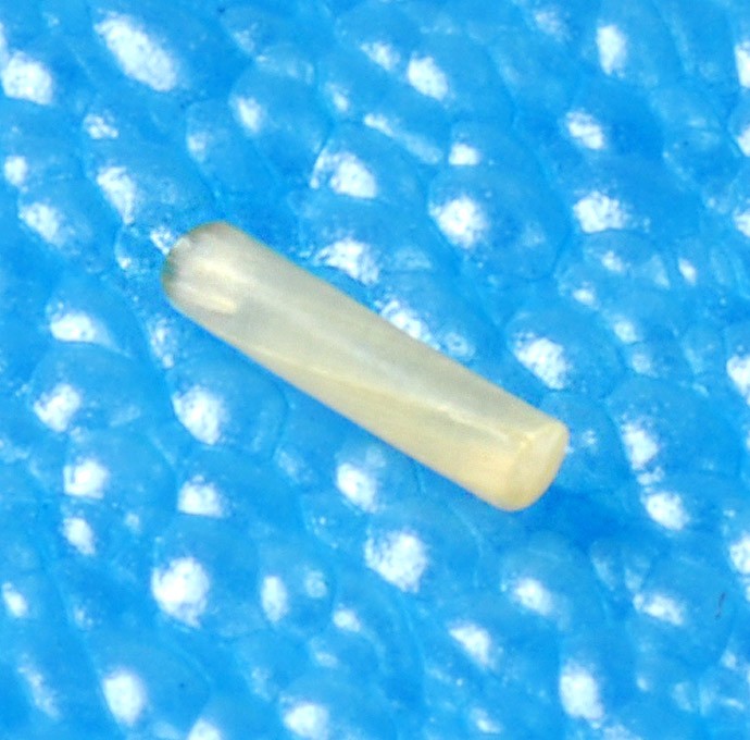 SOFT PLUG Collagen Intracanalicular Plugs Blue River Medical, Inc.