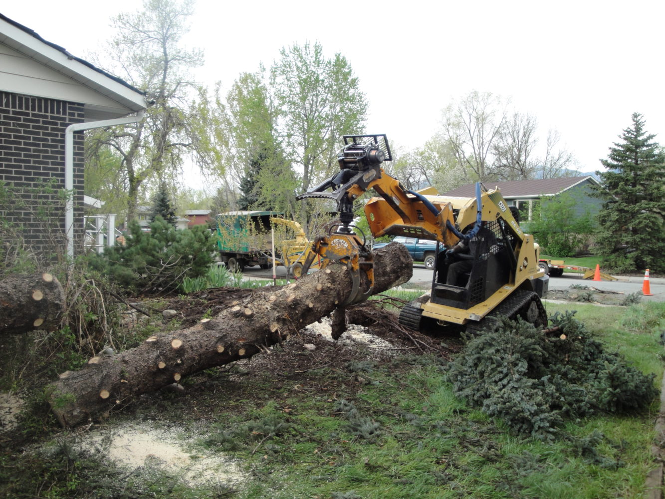 Emergency Tree Service & Removal in Boulder County