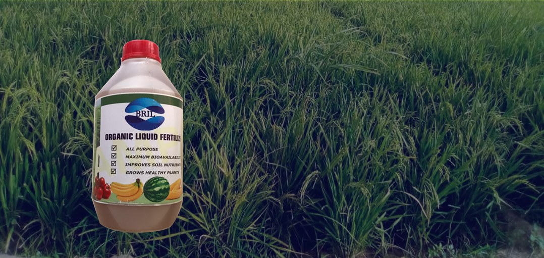 BlueRock International Limited Offical site