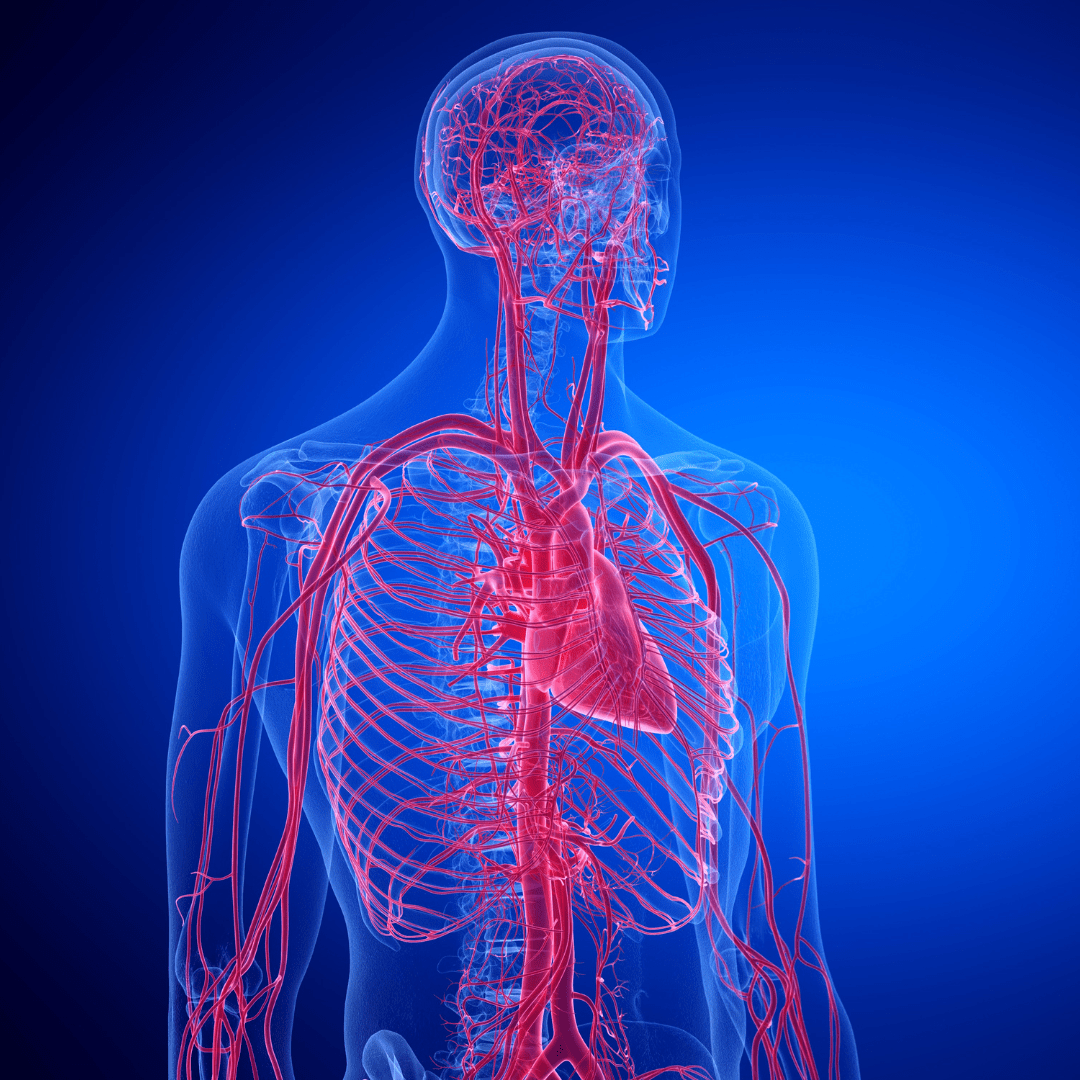 Imaging Center Blue Rock Medical