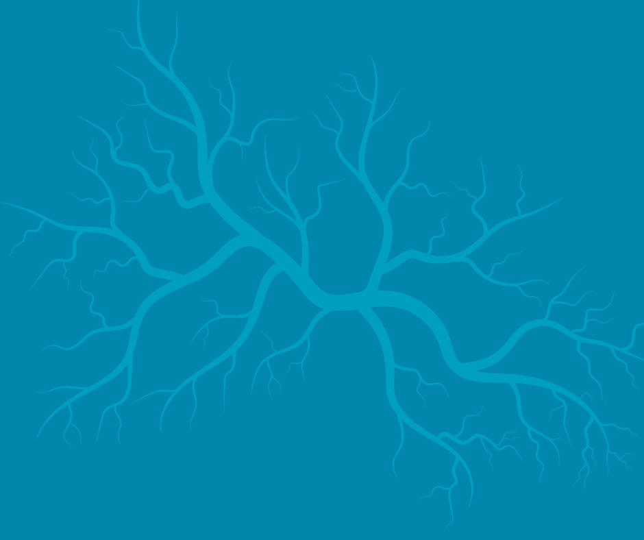 Vein Center Blue Rock Medical