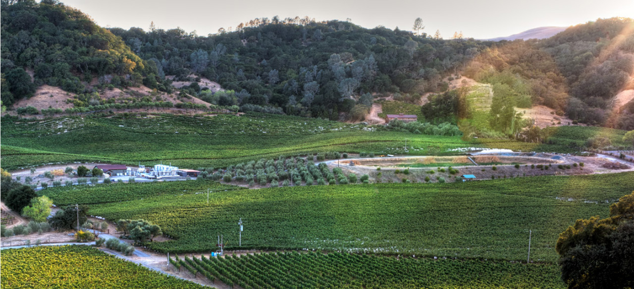 Make Blue Rock Vineyard Your Wine Country Basecamp Bluerock Vineyard