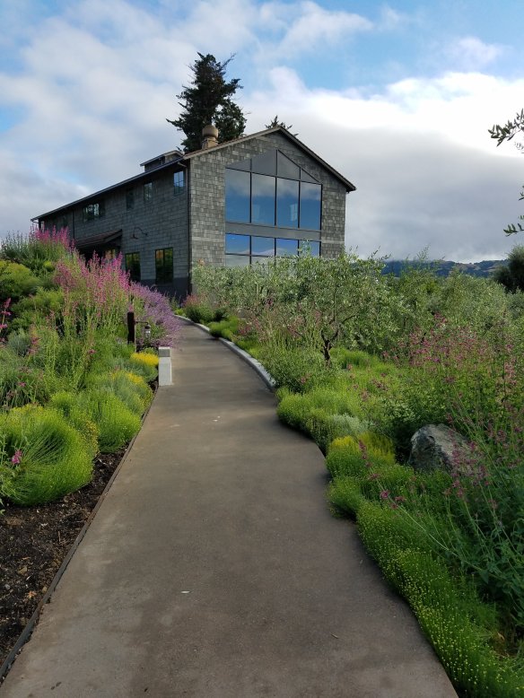 Not Your Ordinary Wine Tasting! Blue Rock Vineyard and Winery