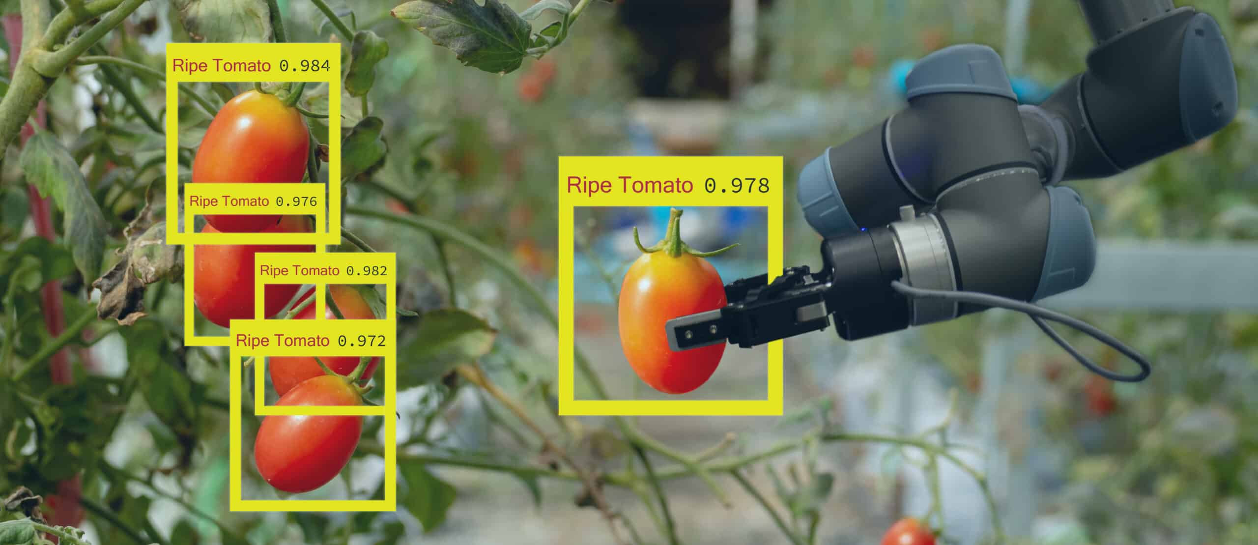 Smart Farming with IoT Blues Wireless