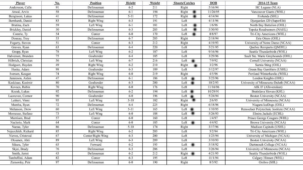 Biggest targets from the NYR's development camp