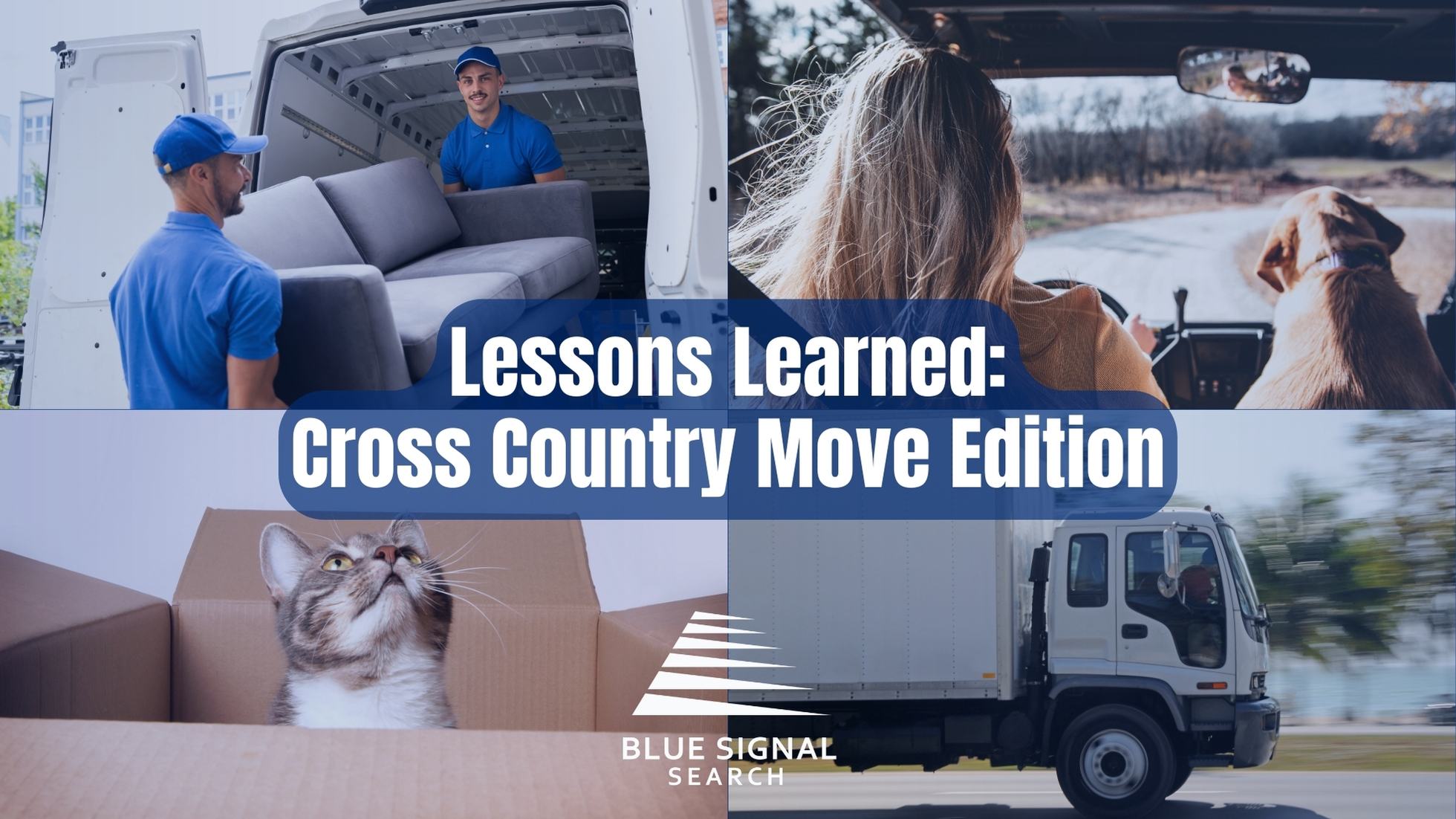 The Ultimate Relocation Guide Insights from a Vermont Blue
