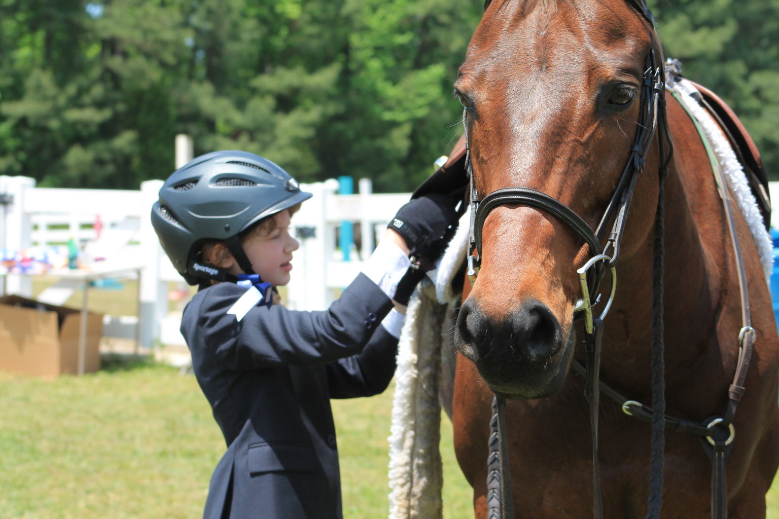 Hunter Jumper Show Prep Blue Skies Horse Stables