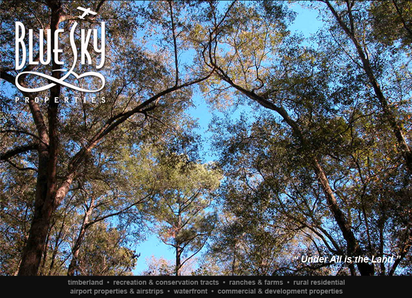 Blue Sky Properties, Inc Under All is the Land