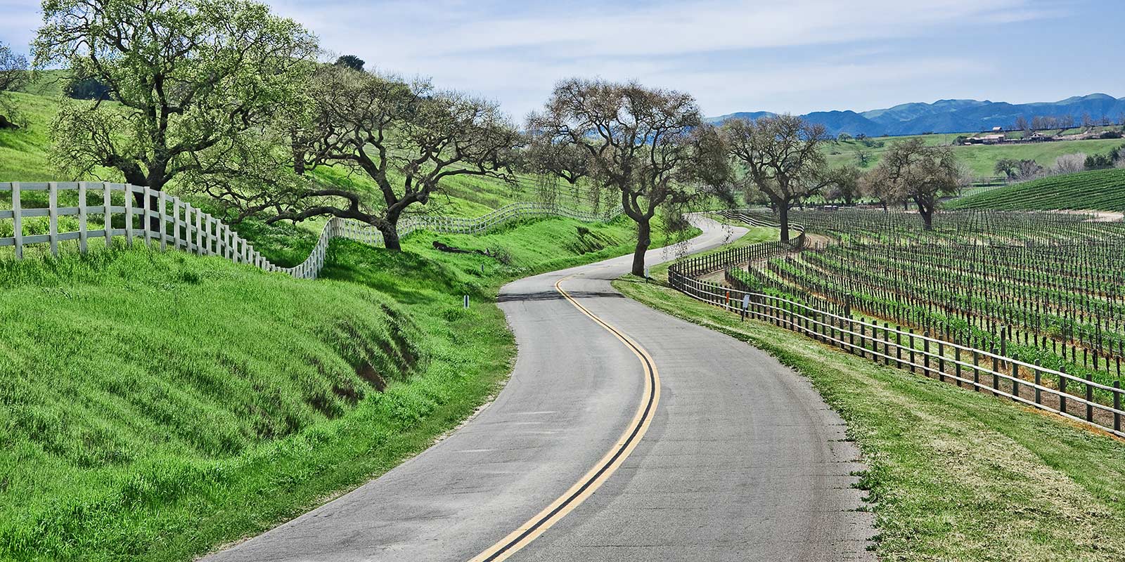 Blue Sky Property rentals and property management single family homes