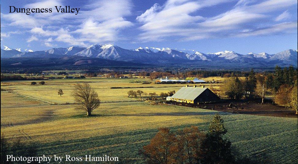 Gallery Blue Sky Realty Sequim