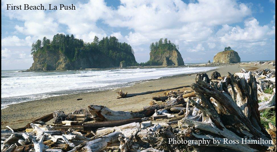 Gallery Blue Sky Realty Sequim