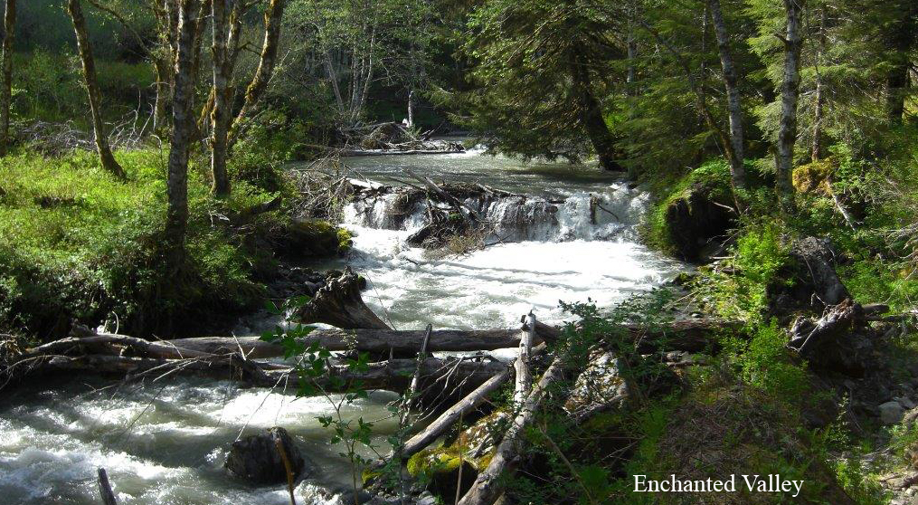 Gallery Blue Sky Realty Sequim