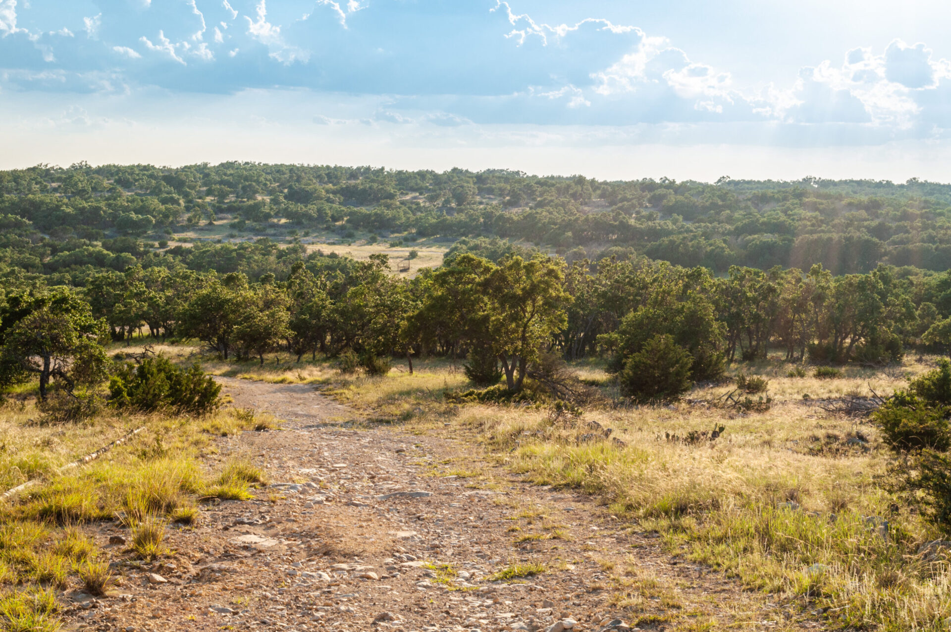 » Sold Premier Texas Ranch Real Estate Broker Bluestem Ranch Group, LLC