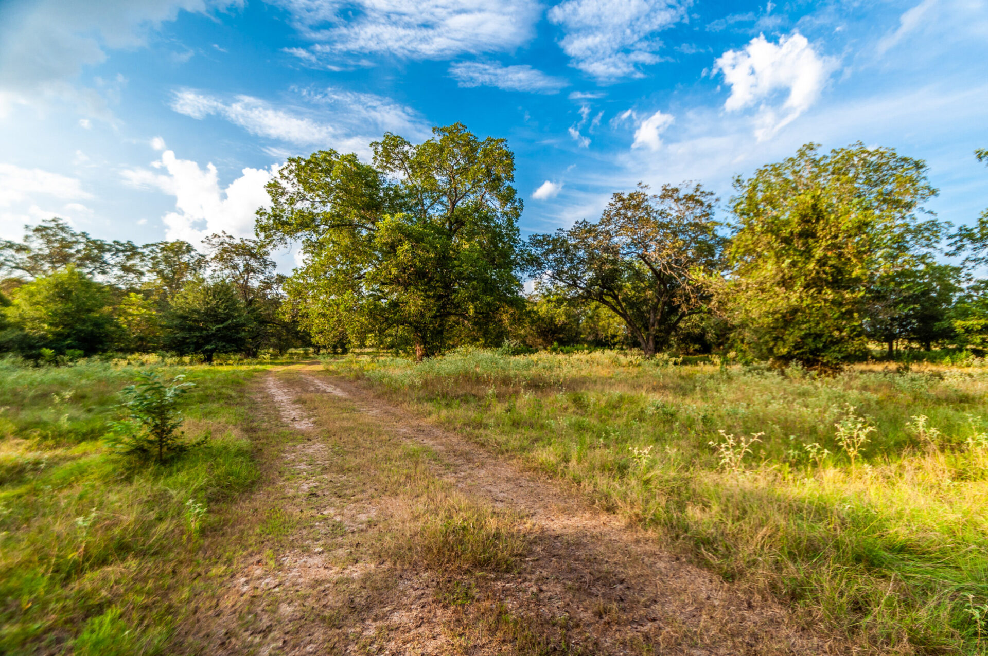 » Sandy Fork Ranch Premier Texas Ranch Real Estate Broker Bluestem