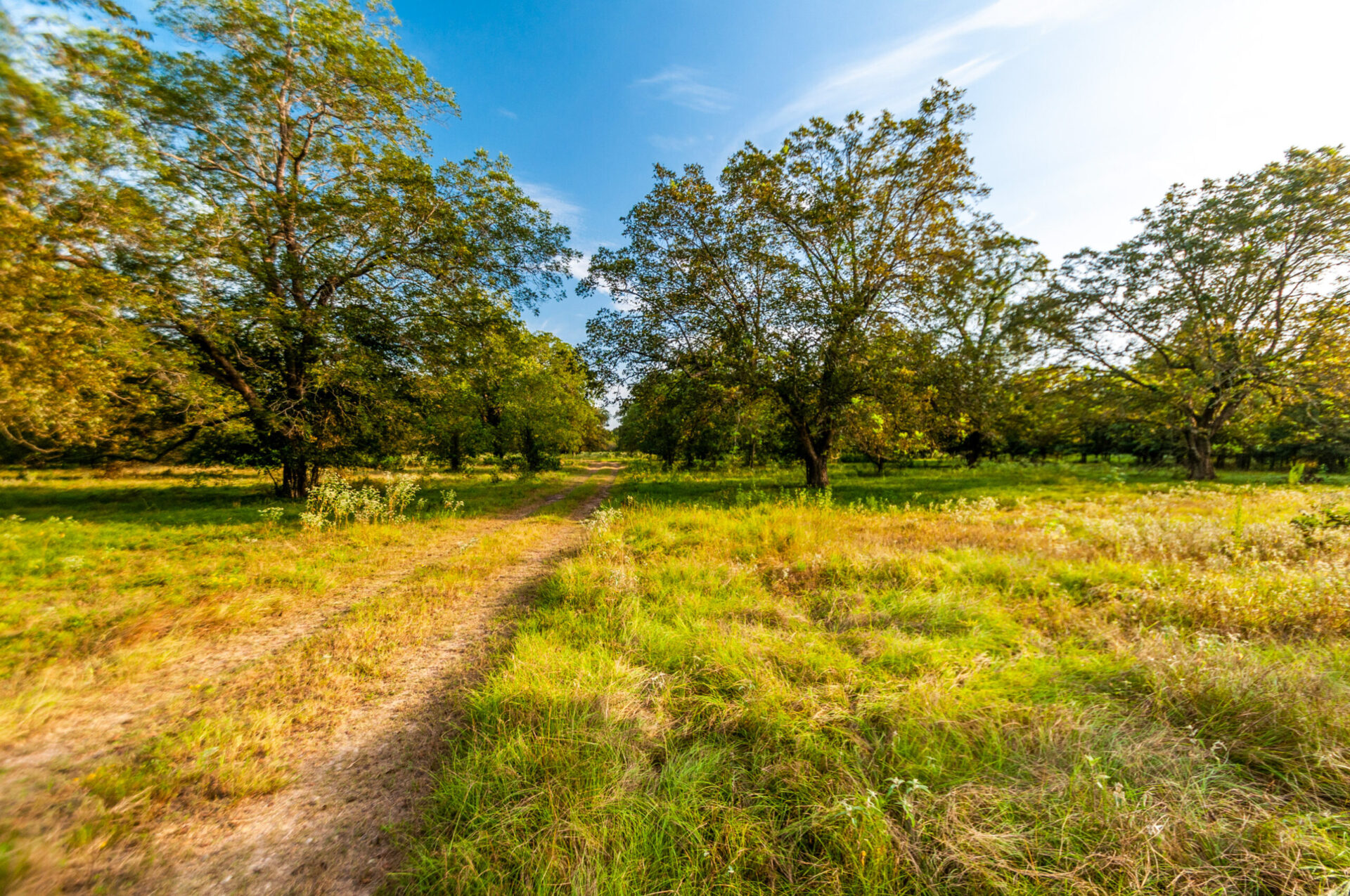 » Sandy Fork Ranch Premier Texas Ranch Real Estate Broker Bluestem