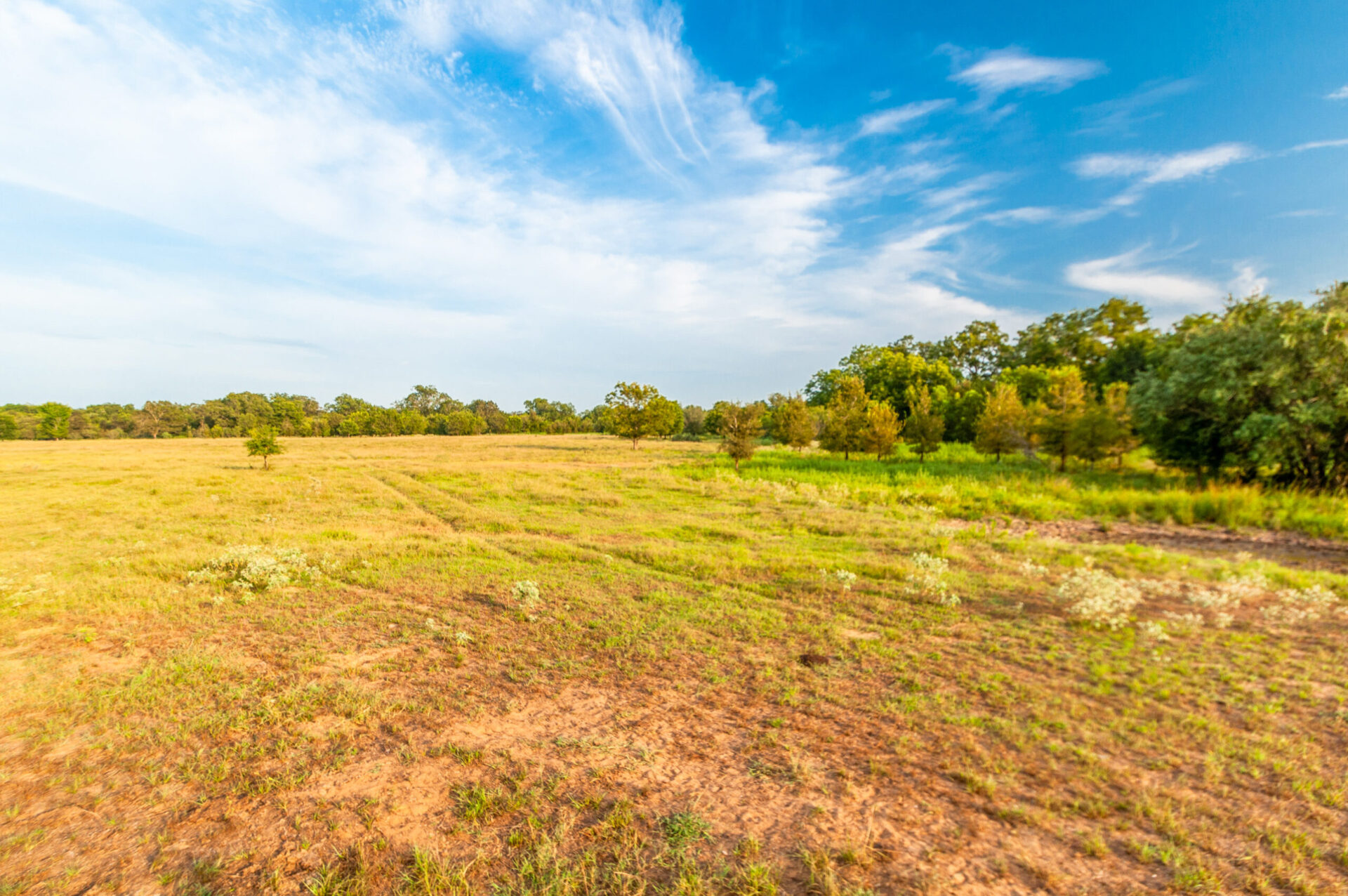» Sandy Fork Ranch Premier Texas Ranch Real Estate Broker Bluestem