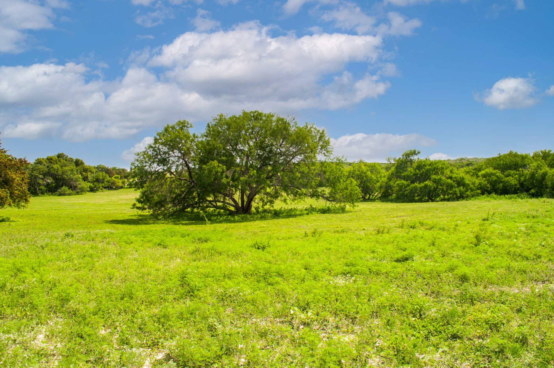 » Lago Vista Ranch Premier Texas Ranch Real Estate Broker Bluestem