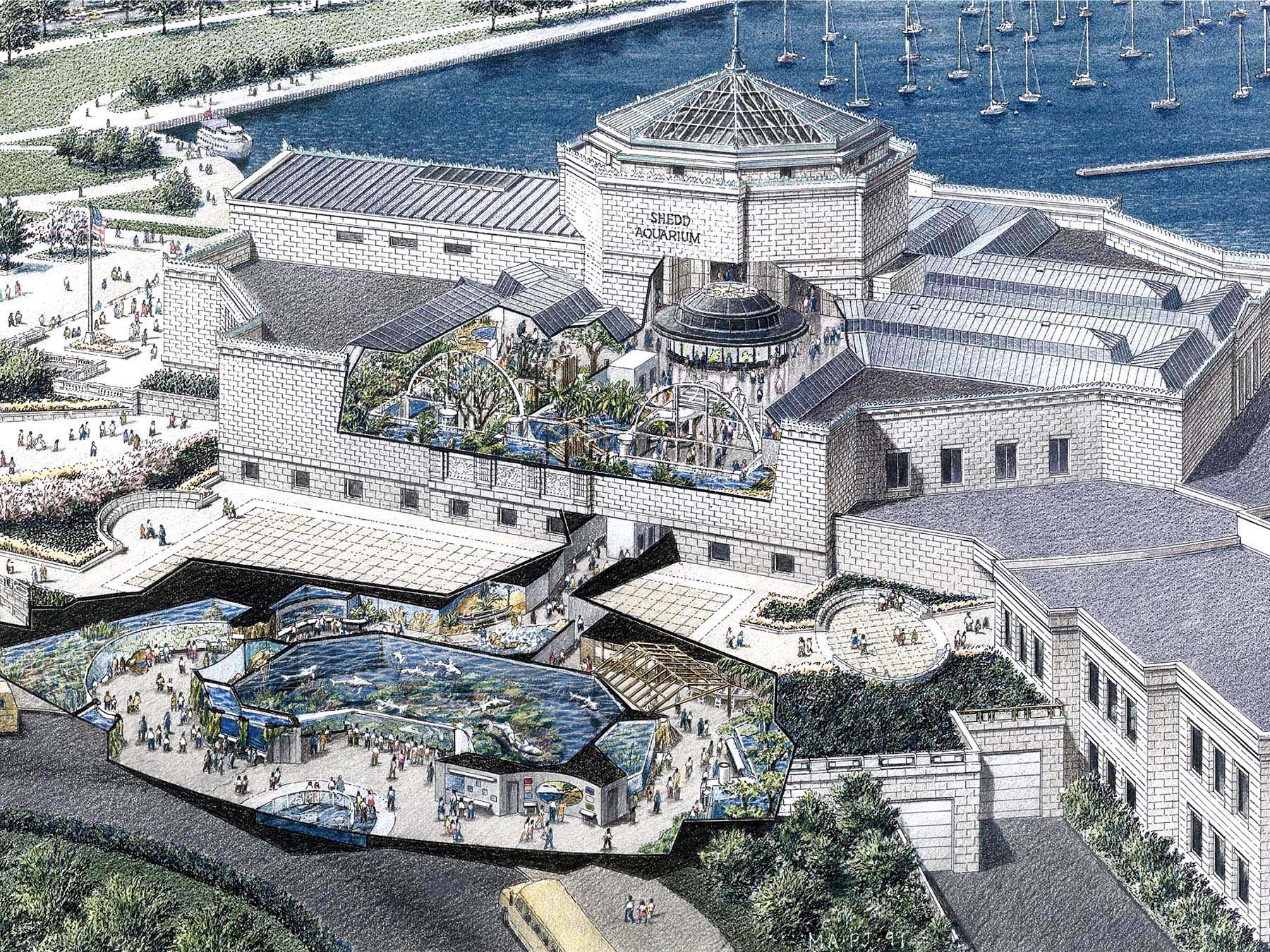 Oceanarium John G. Shedd Aquarium Bluestone + Associates