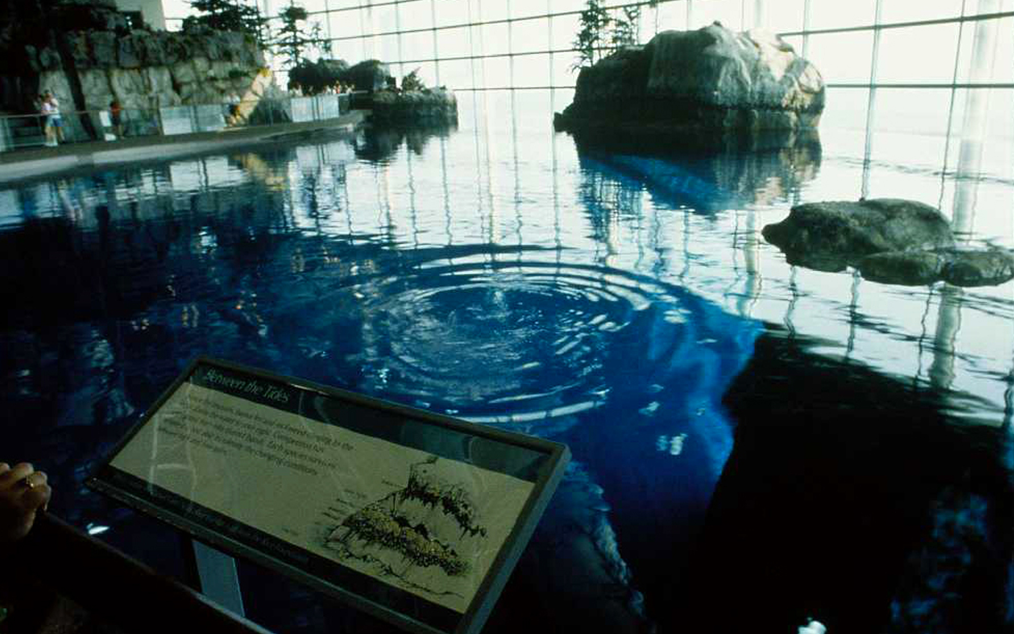 Oceanarium John G. Shedd Aquarium Bluestone + Associates