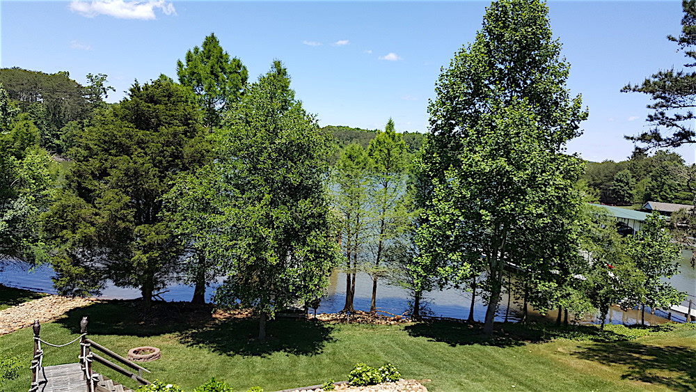 Tar Heel trained, Knoxville’s gain Blue Streak