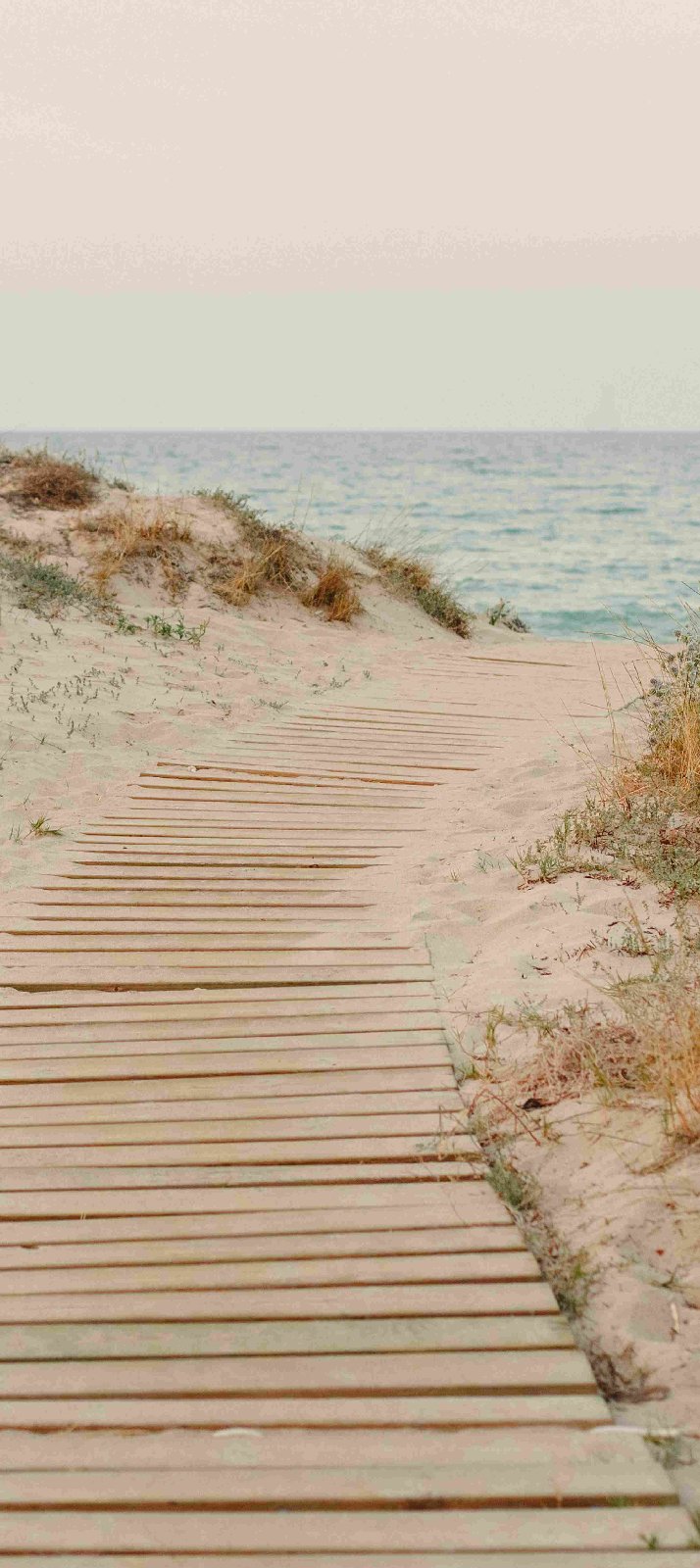 Duschrückwand Eck oder Einzelplatte Alu, Natur Strand Meer LIDUs308 eBay
