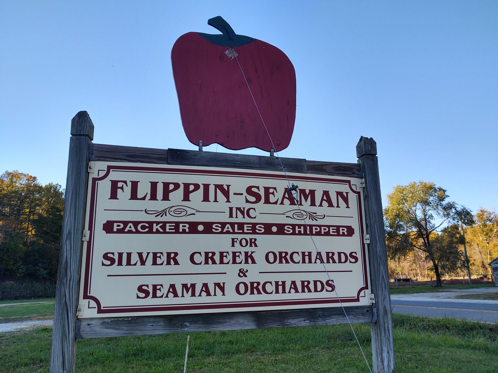 Ciders Blue Toad Hard Cider