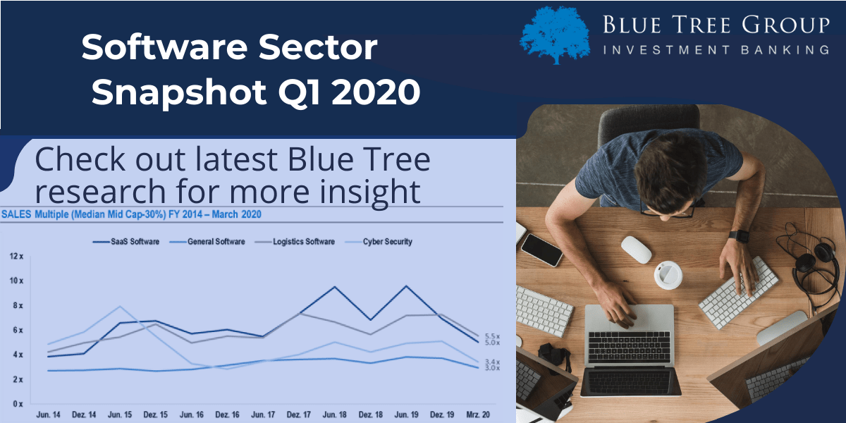 Valuation Snapshot Software March 2020 Blue Tree Group
