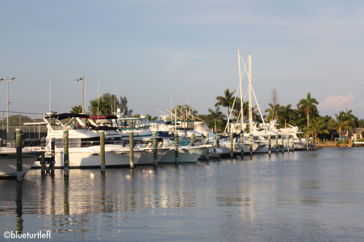 Settling into marina life Blue Turtle Cruising
