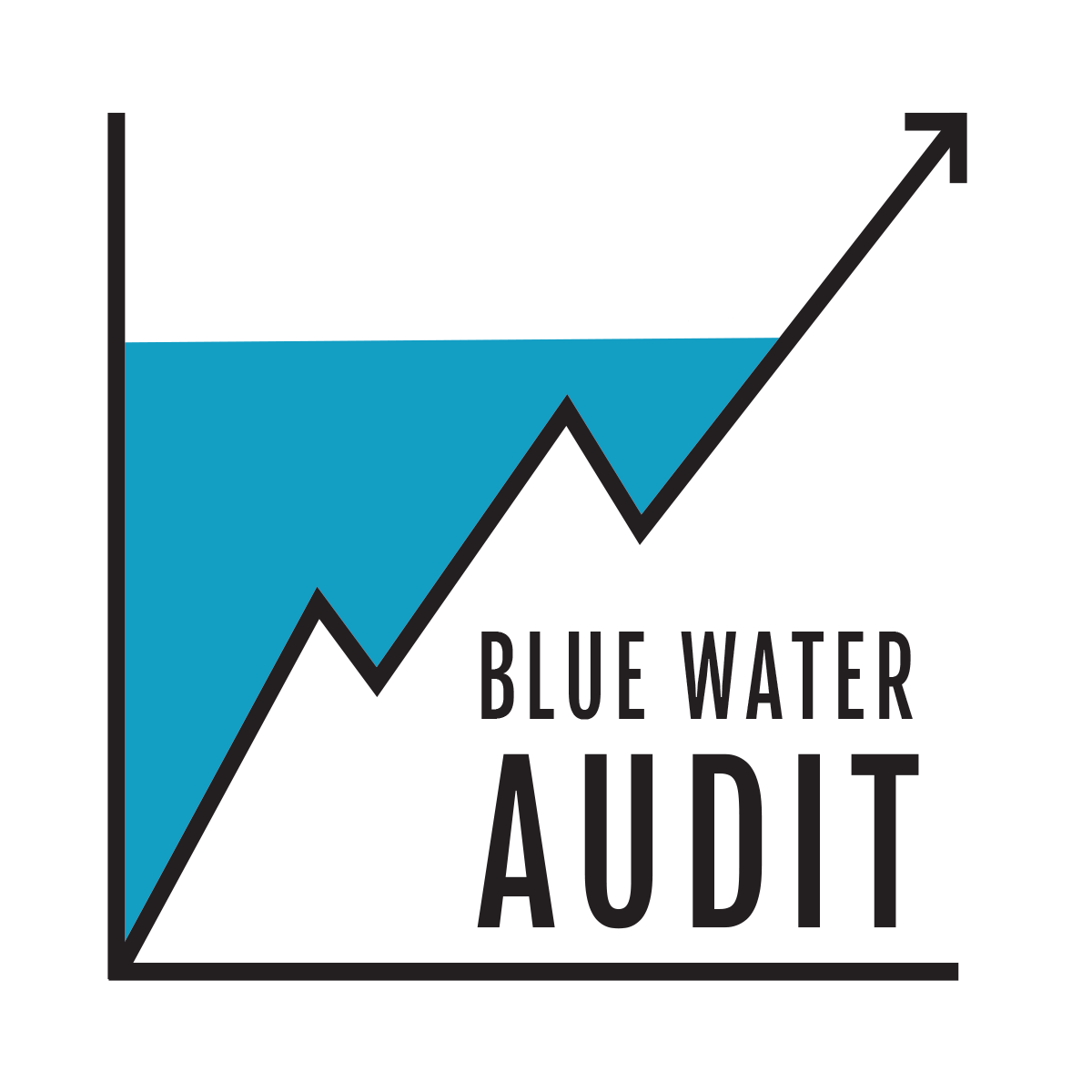 Blue Water Audit