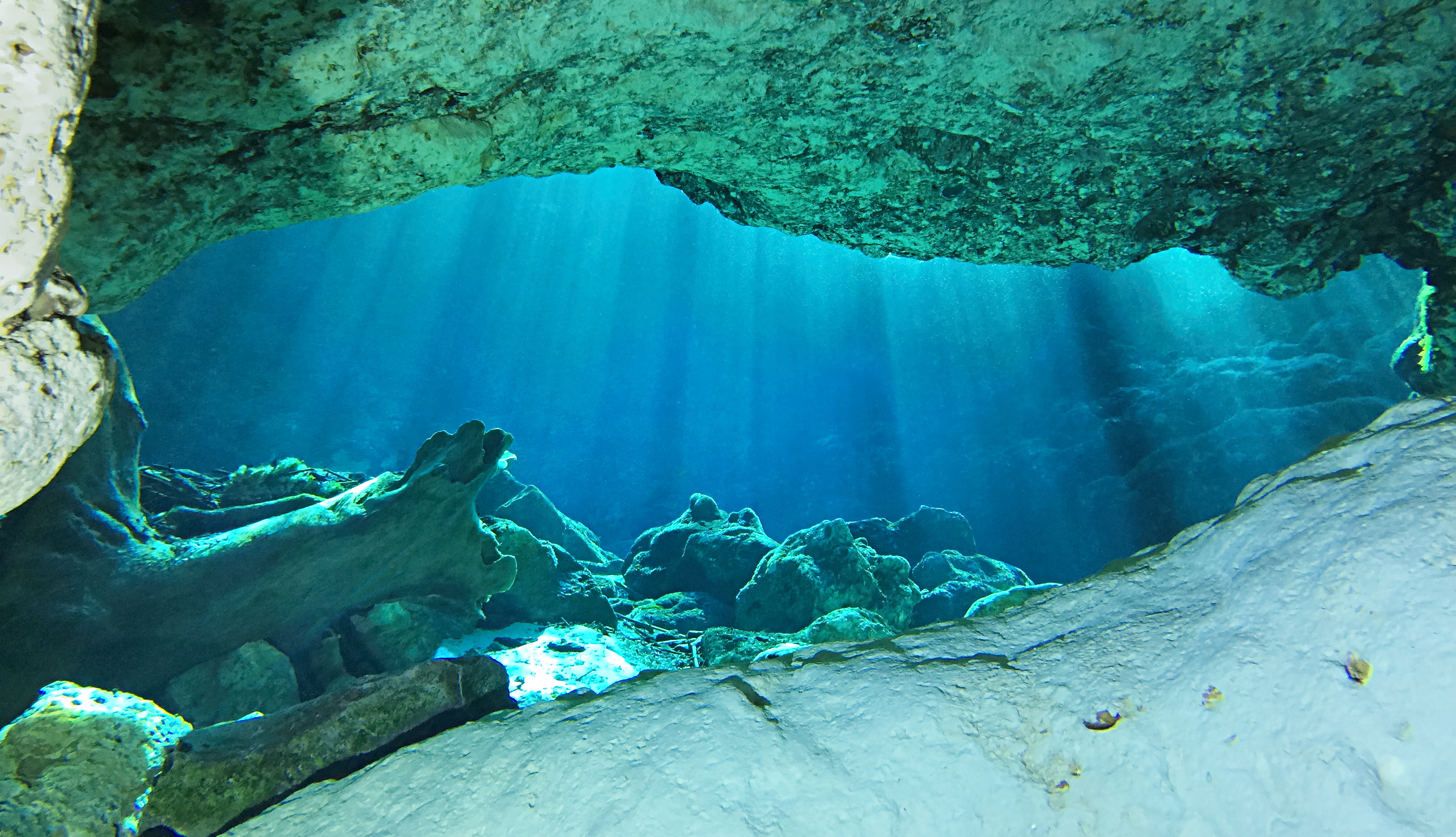 Looking out the entrance to the cave at Devil’s Eye Spring, Florida