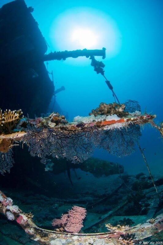 Saudi Arabia Scuba Diving Travel Guide Bluewater Dive Travel