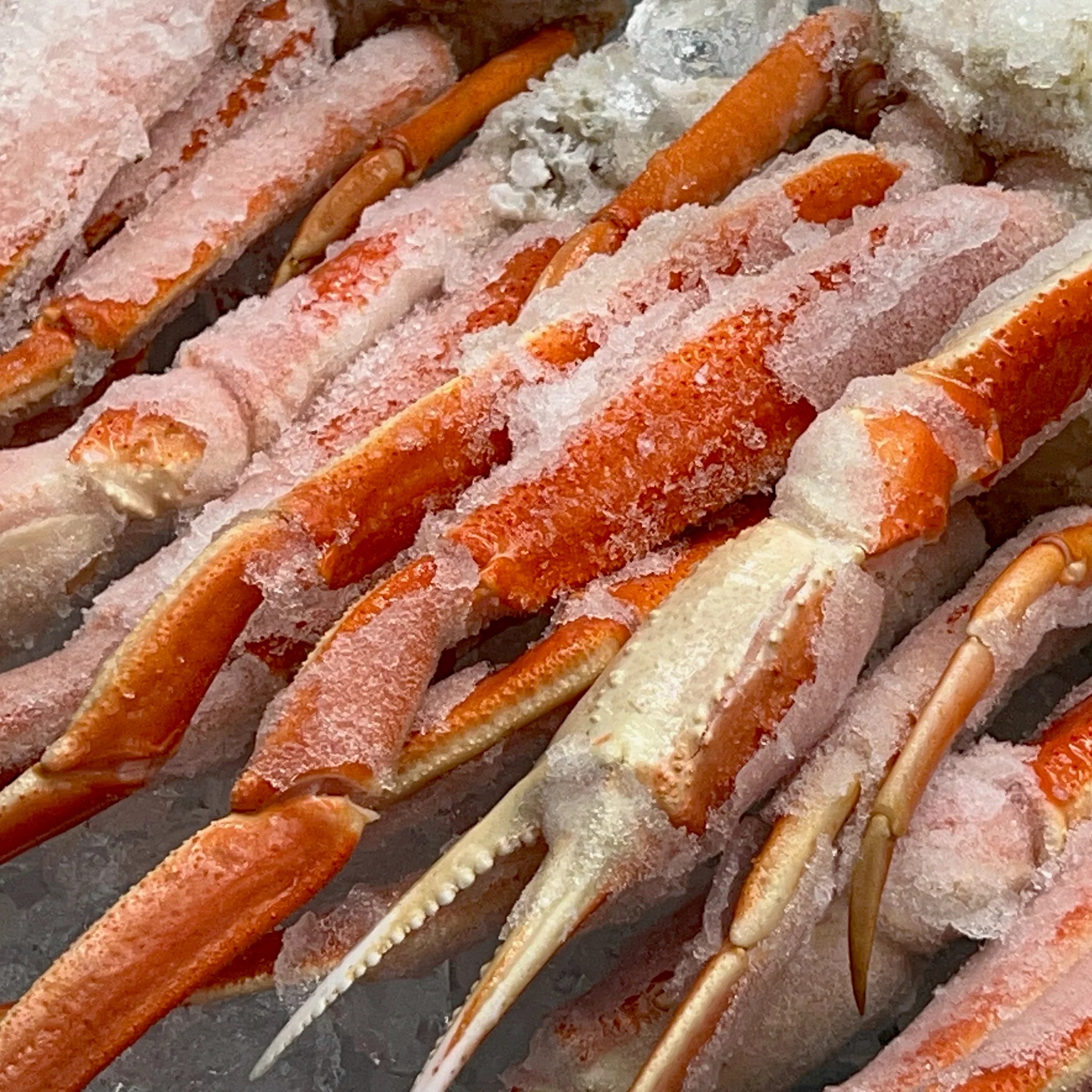 Canadian Snow Crab Legs Frozen at Sea