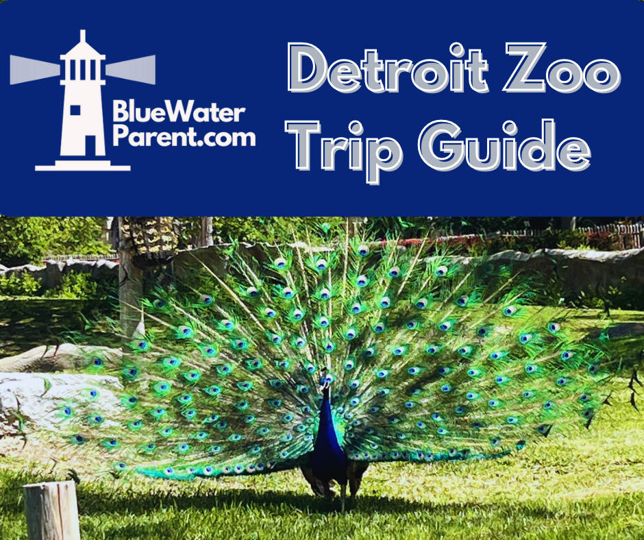 Detroit Zoo Trip Guide