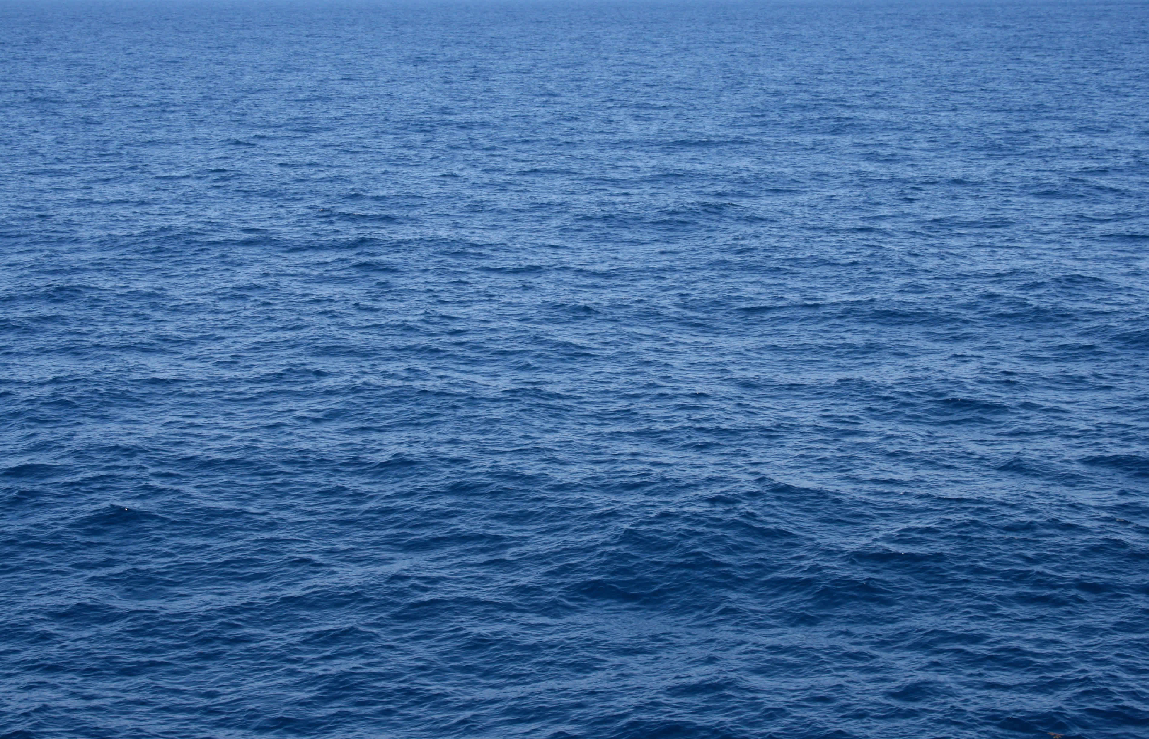 Blue Water Shipping Team Blue Water Shipping, Inc.