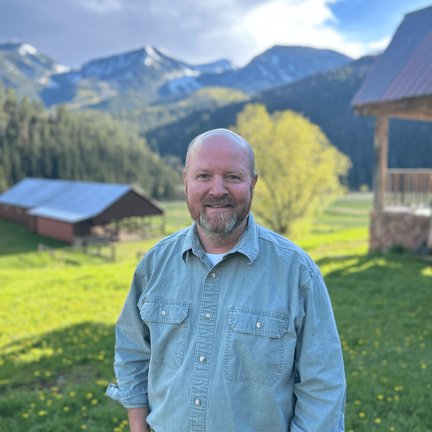 Mark Clement Blue Wing Properties