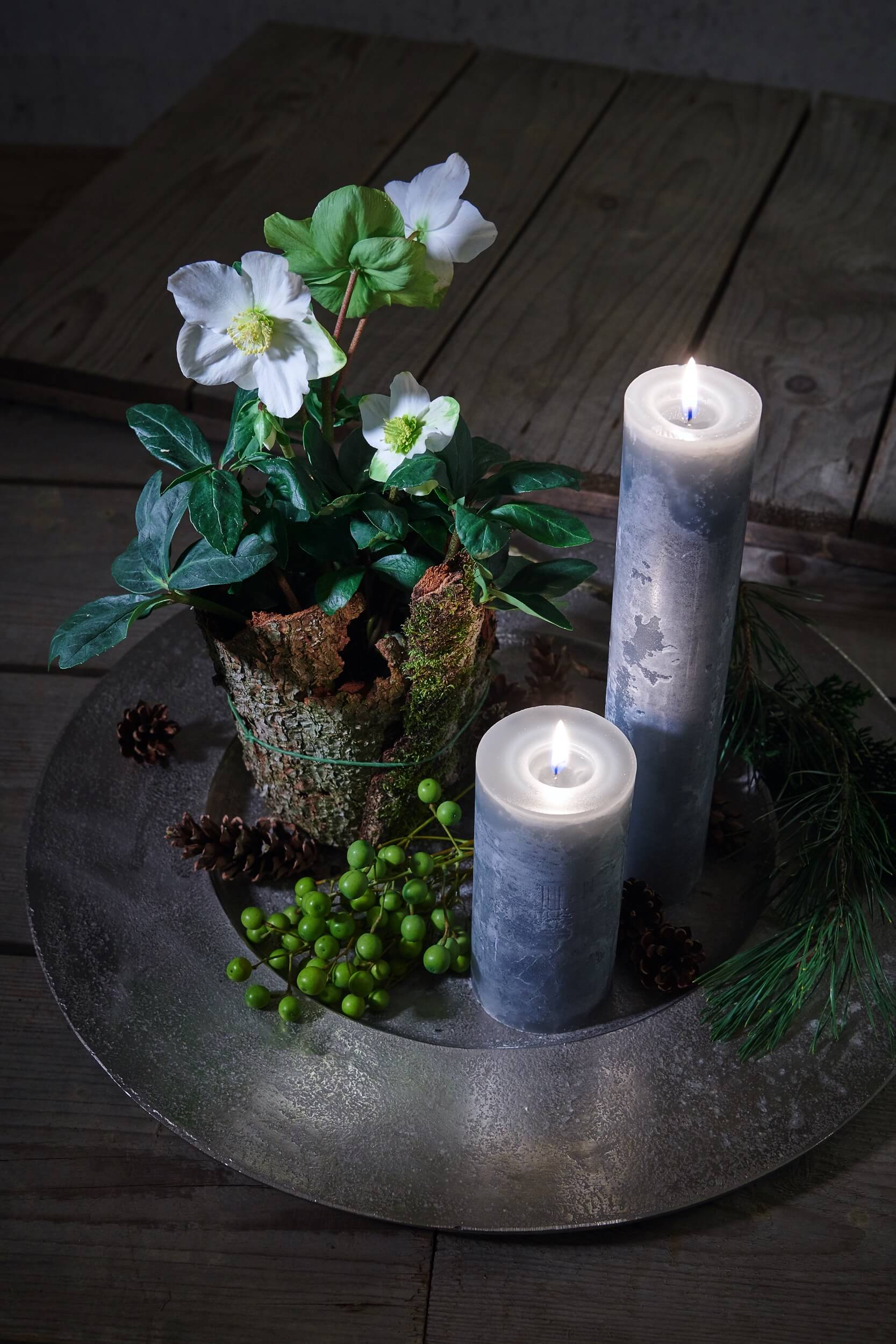 Advent und Weihnachten Blumen Hiedl