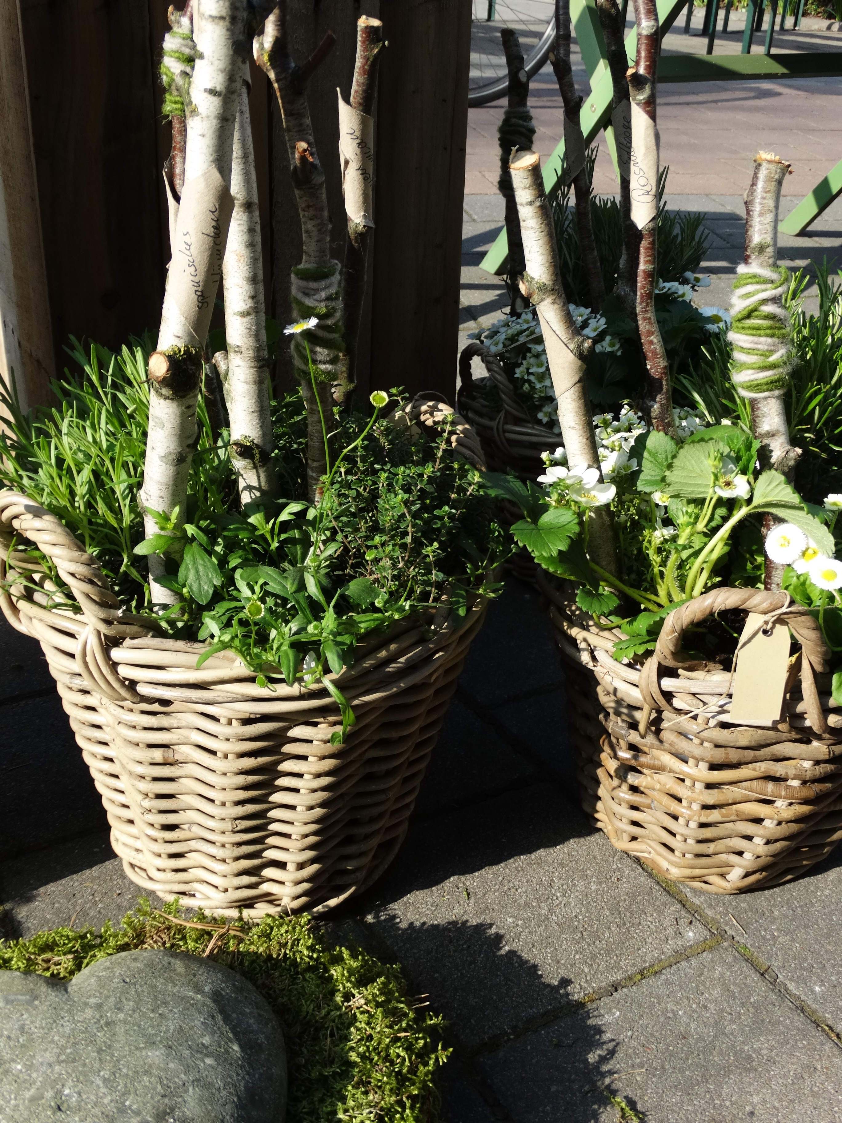 Home Blumen Sindermann