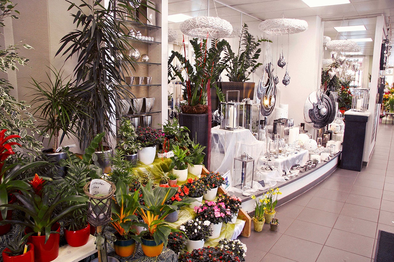 Blumenhaus Viola, der kreative Blumenladen und Bühler Gärtnerei