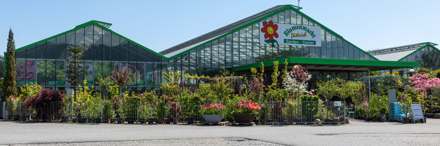 Garden Centre Gampelen Blumenmarkt Dietrich