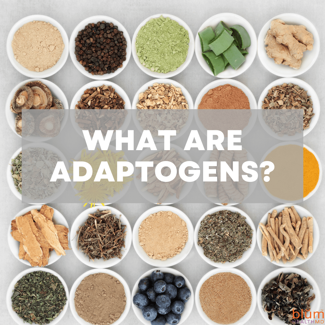 What are Adaptogens? Blum Health MD